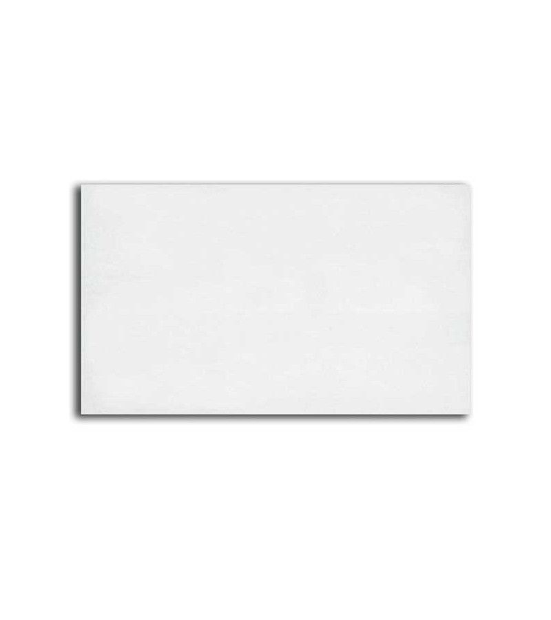 Placa Lisa de Escayola 100x60